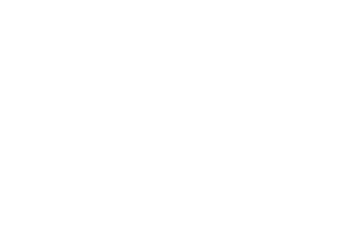 Wodapalooza Mexico City